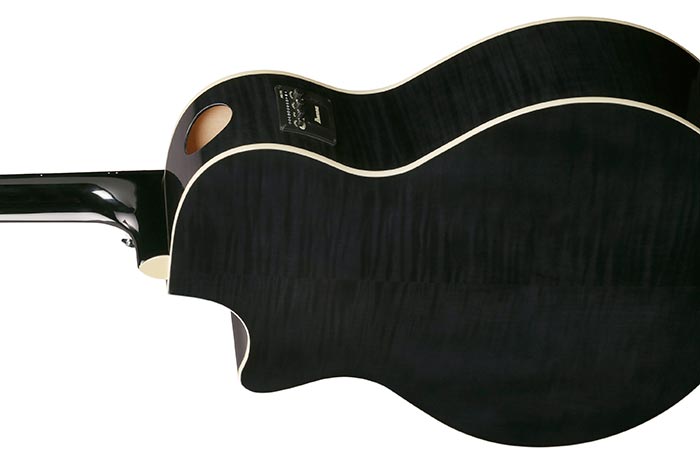 Back of the AE170-TBK's body