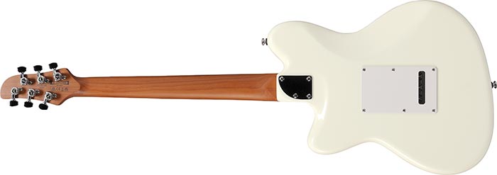 Entire back of the ICHI00-VWH