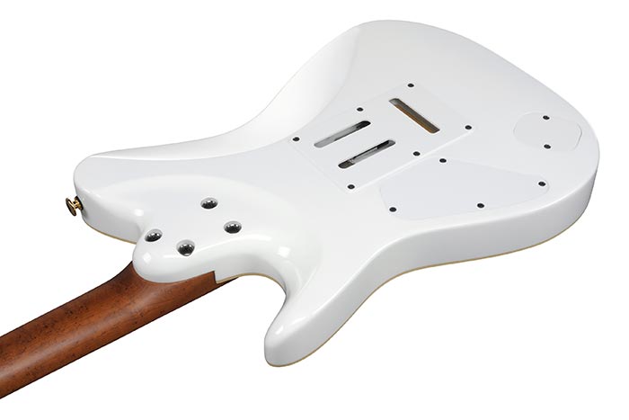 Back of the LB1-WH's body