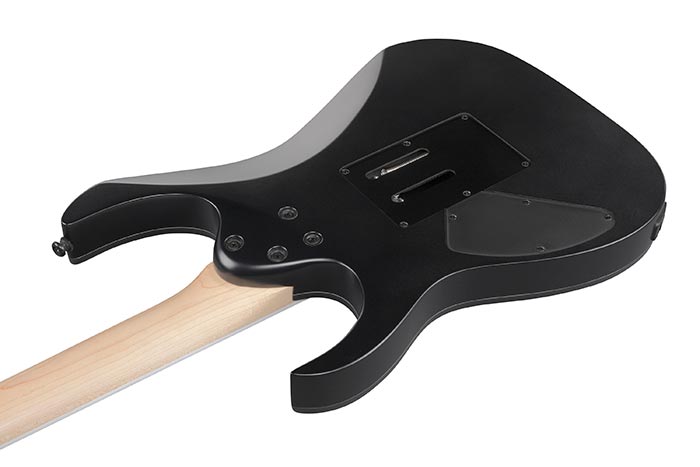 Back of the RG420EX-BKF's body