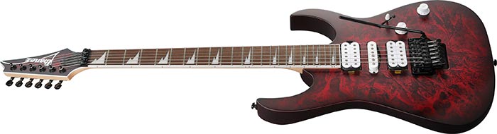 Entire top of the RG470DXW-WZM