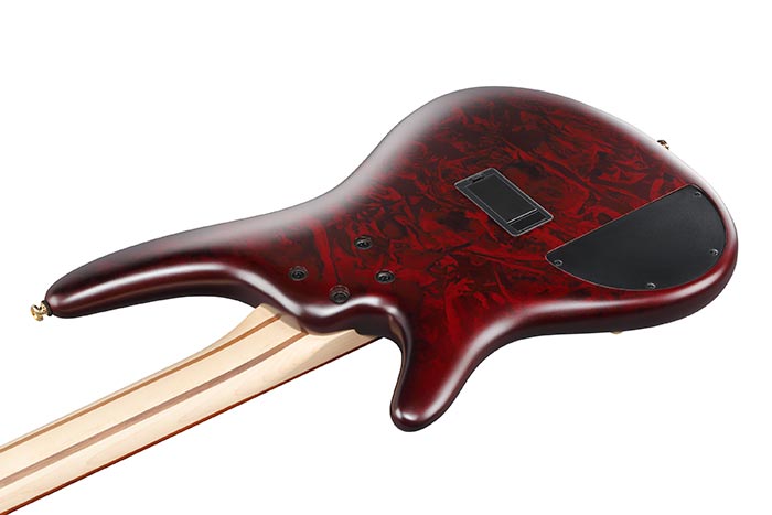 Back of the SR300EDX-WZM's body