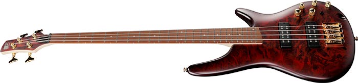 Entire top of the SR300EDX-WZM