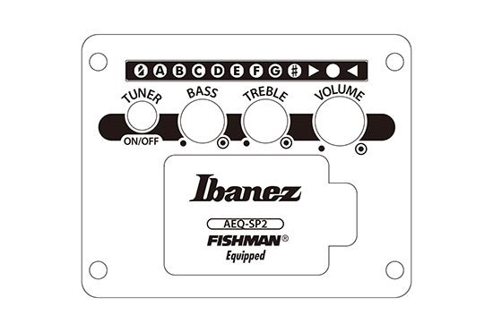 GA3007CE's preamp diagram